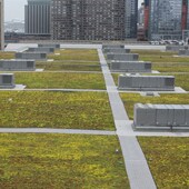 SBS-waterproofing-plaza-vegetated