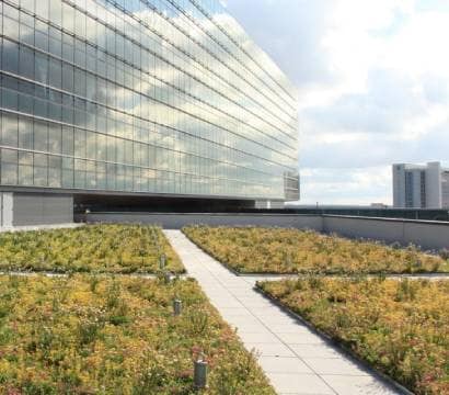 Vegetated roof