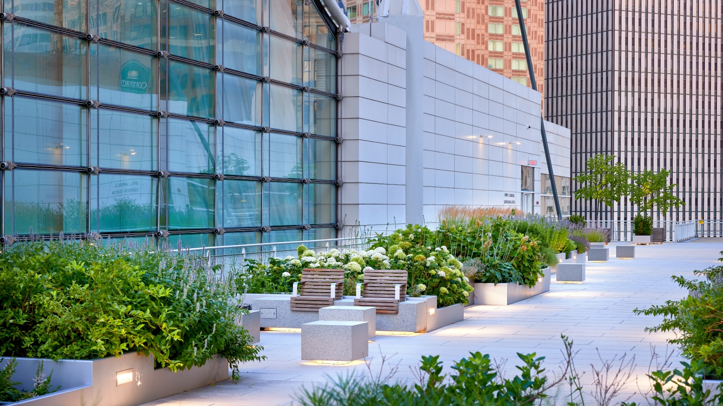 Exterior photography of the DLCC roof garden